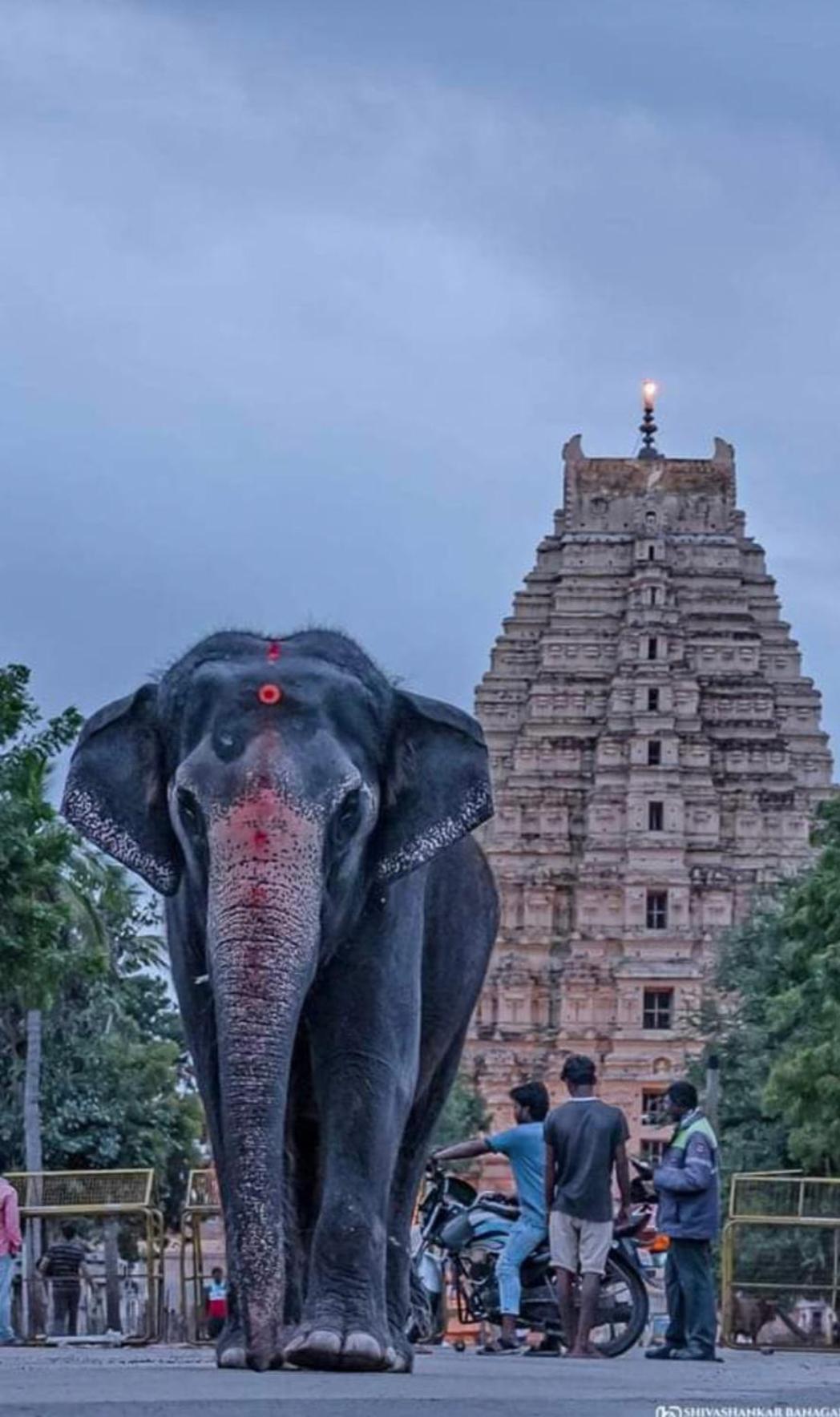 Sai Ram Home Stay Hampi Buitenkant foto